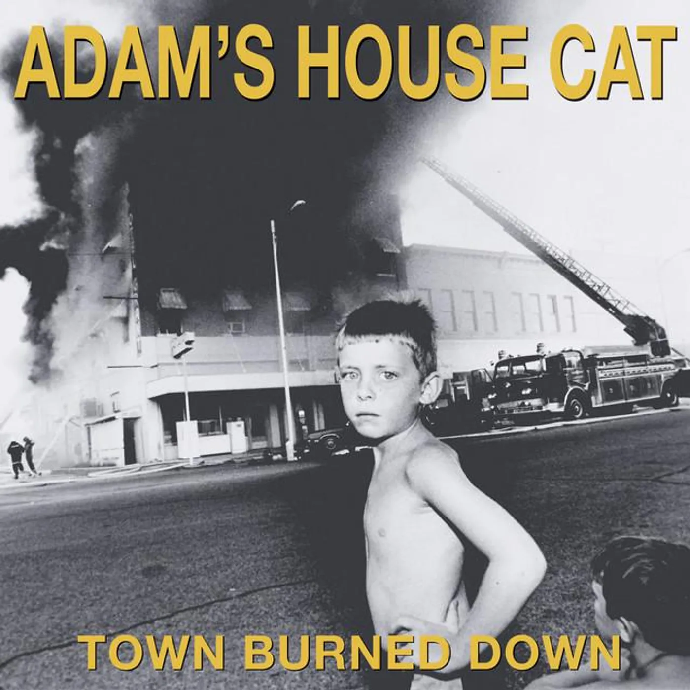 Adam's House Cat Brand Page
