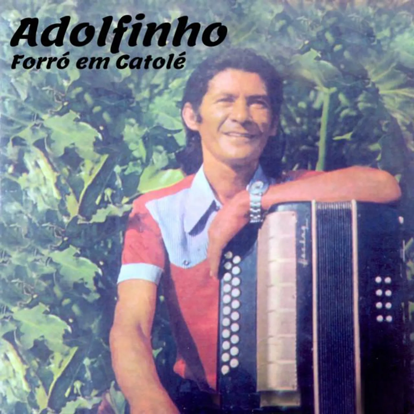 Adolfinho e Sua 8 Baixos