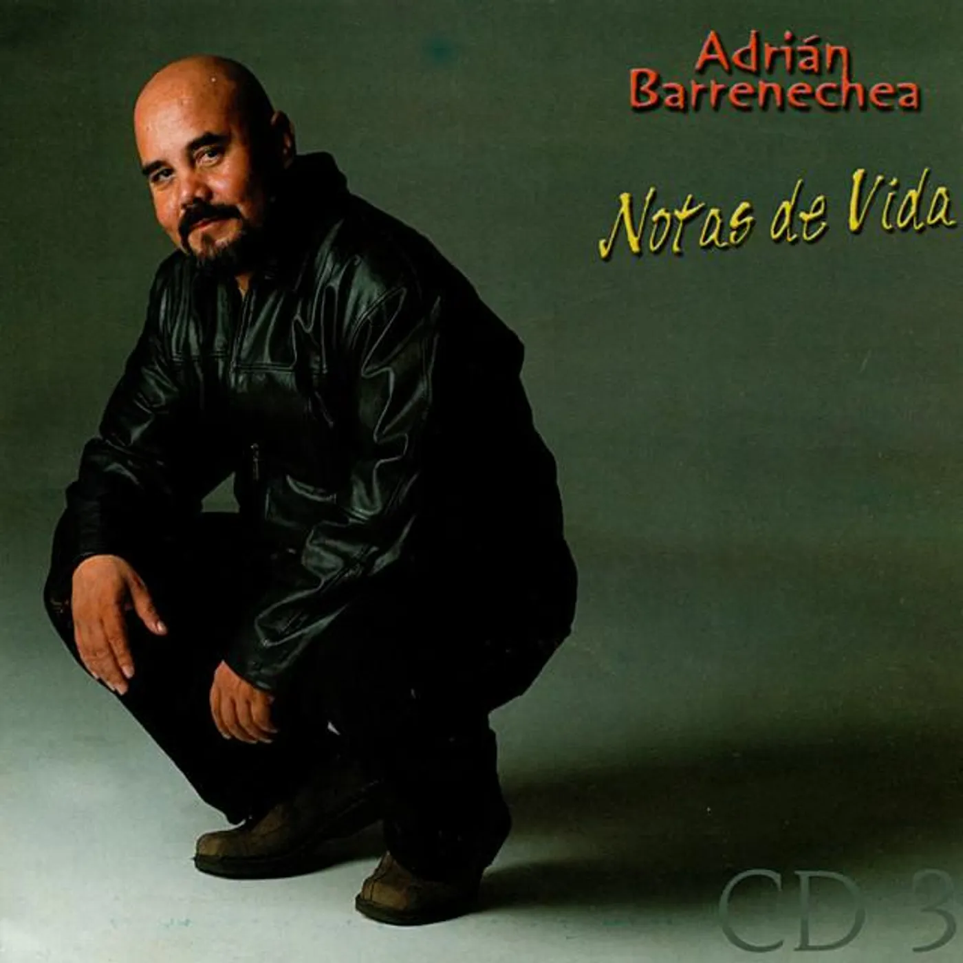 Adrián Barrenechea Brand Page