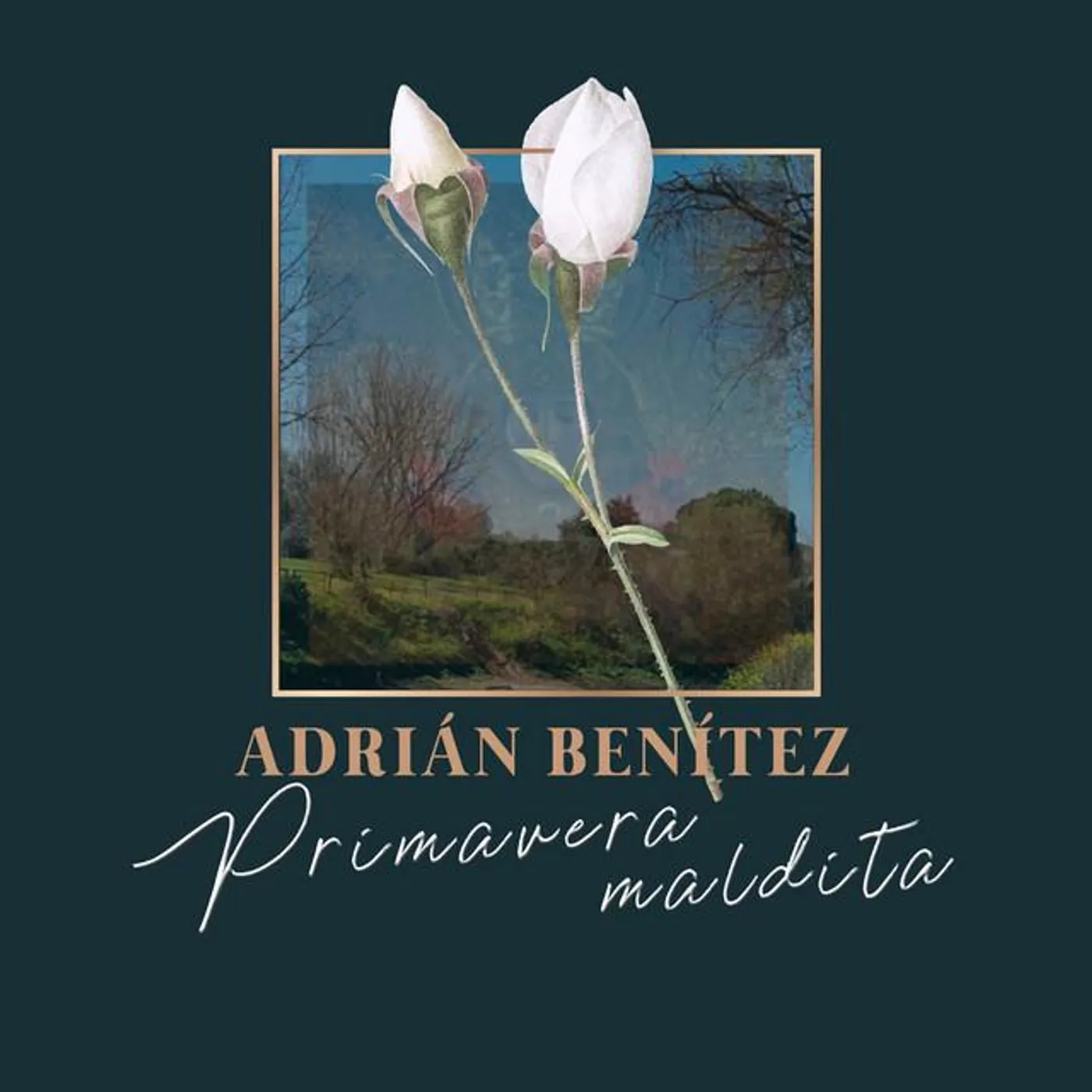 Adrian Benitez