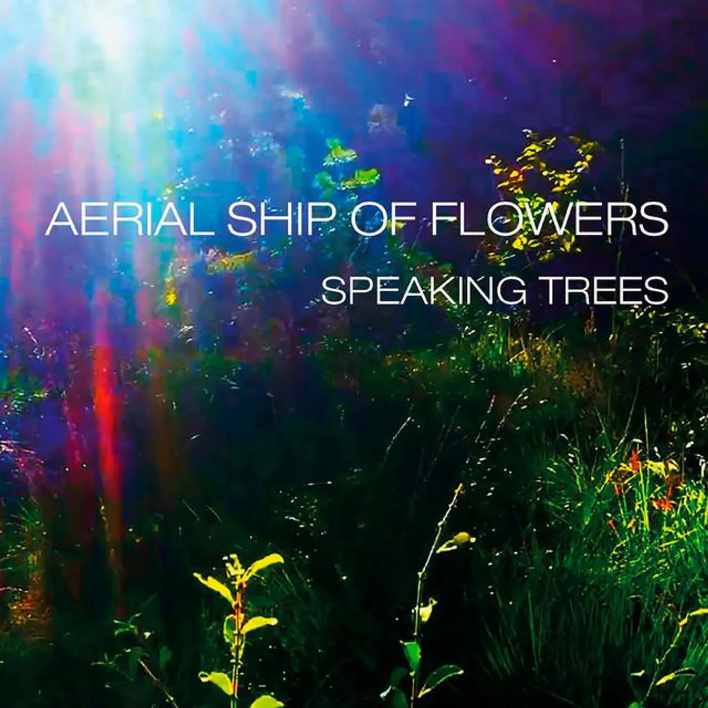 Aerial Ship of Flowers