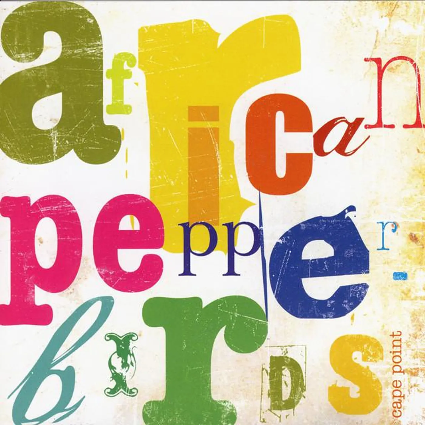 African Pepperbirds