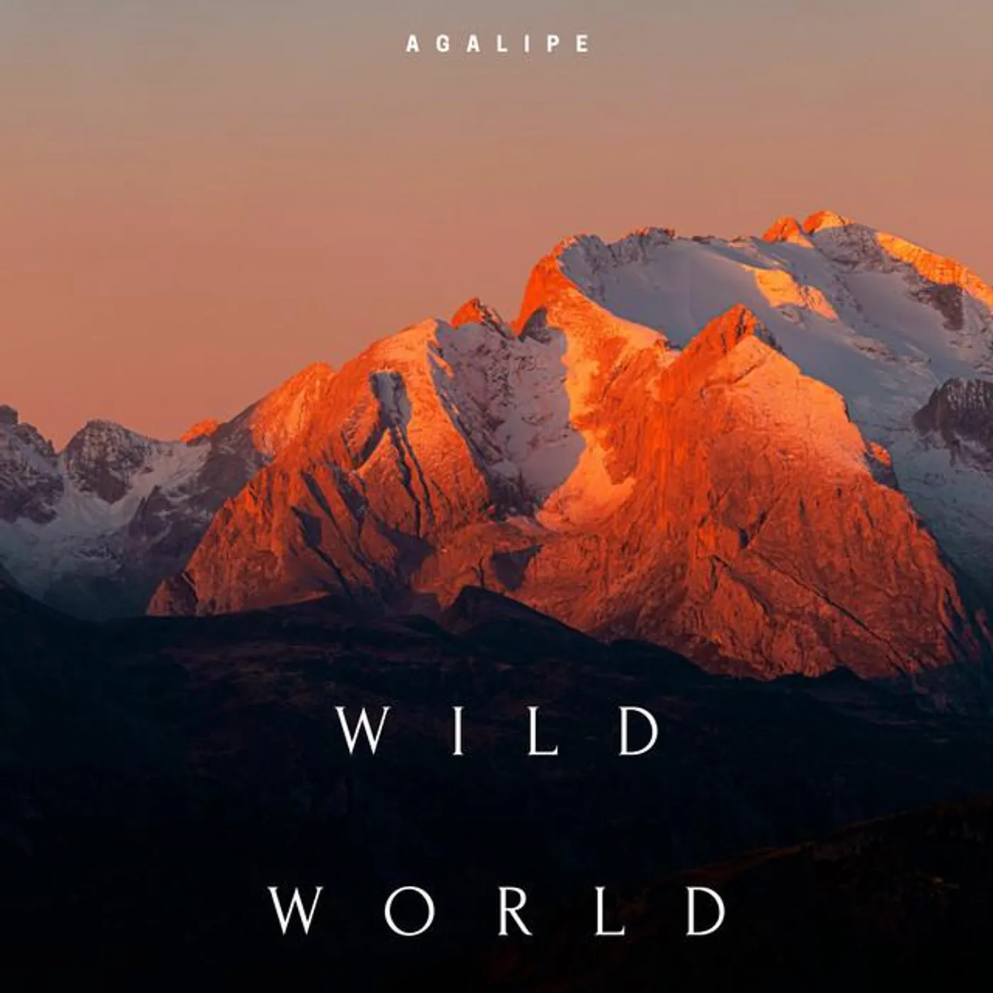 Agalipe Brand Page