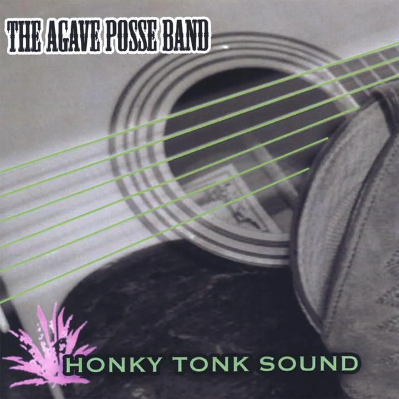 Agave Posse Band Brand Page