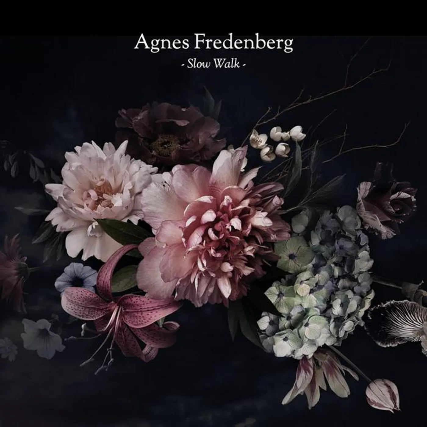 Agnes Fredenberg