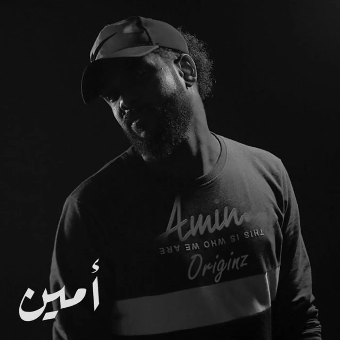 Ahmed Amin
