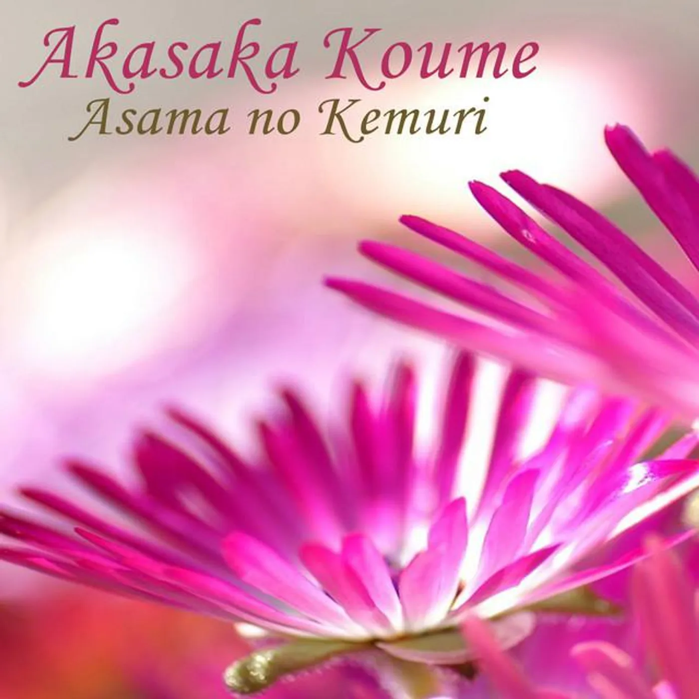 Akasaka Koume