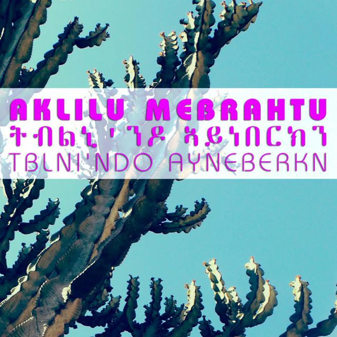 Aklilu Mebrahtu