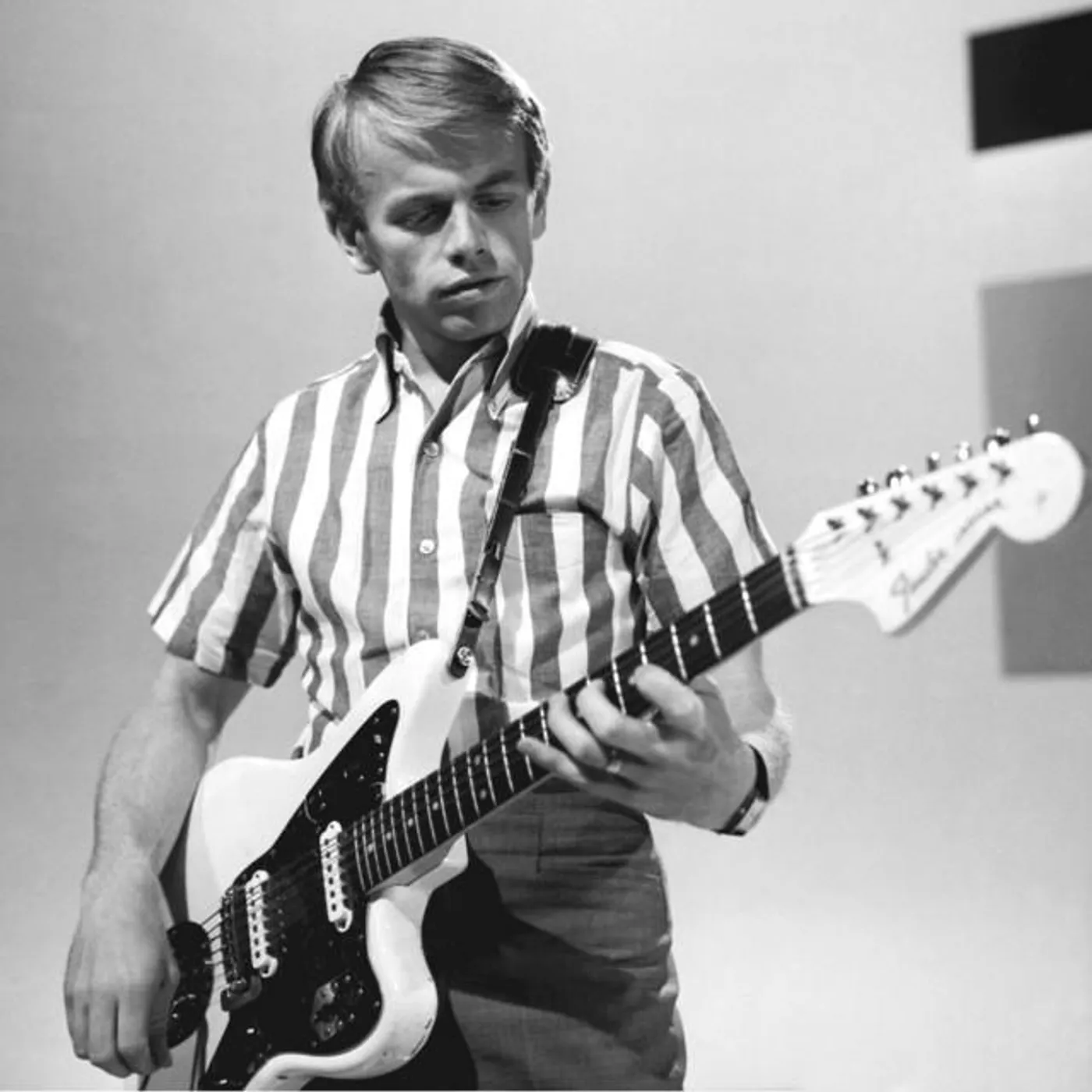 Al Jardine Brand Page