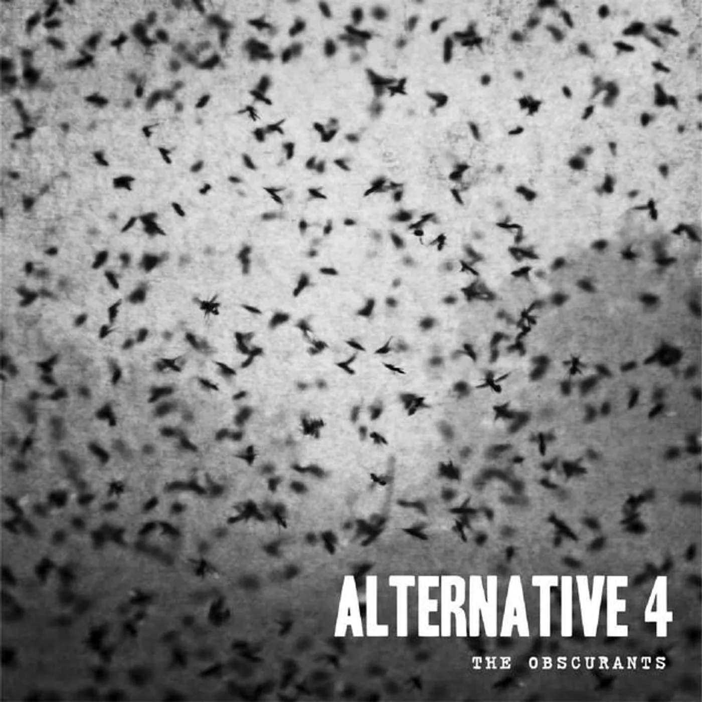 Alternative 4 Brand Page