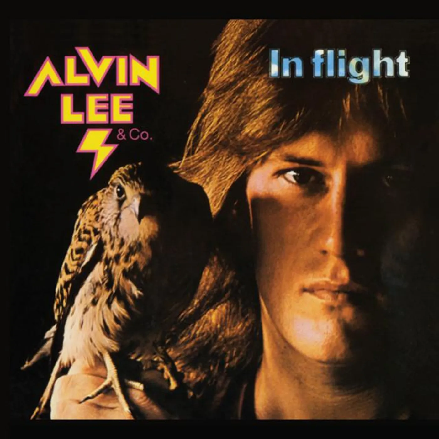 Alvin Lee & Co.