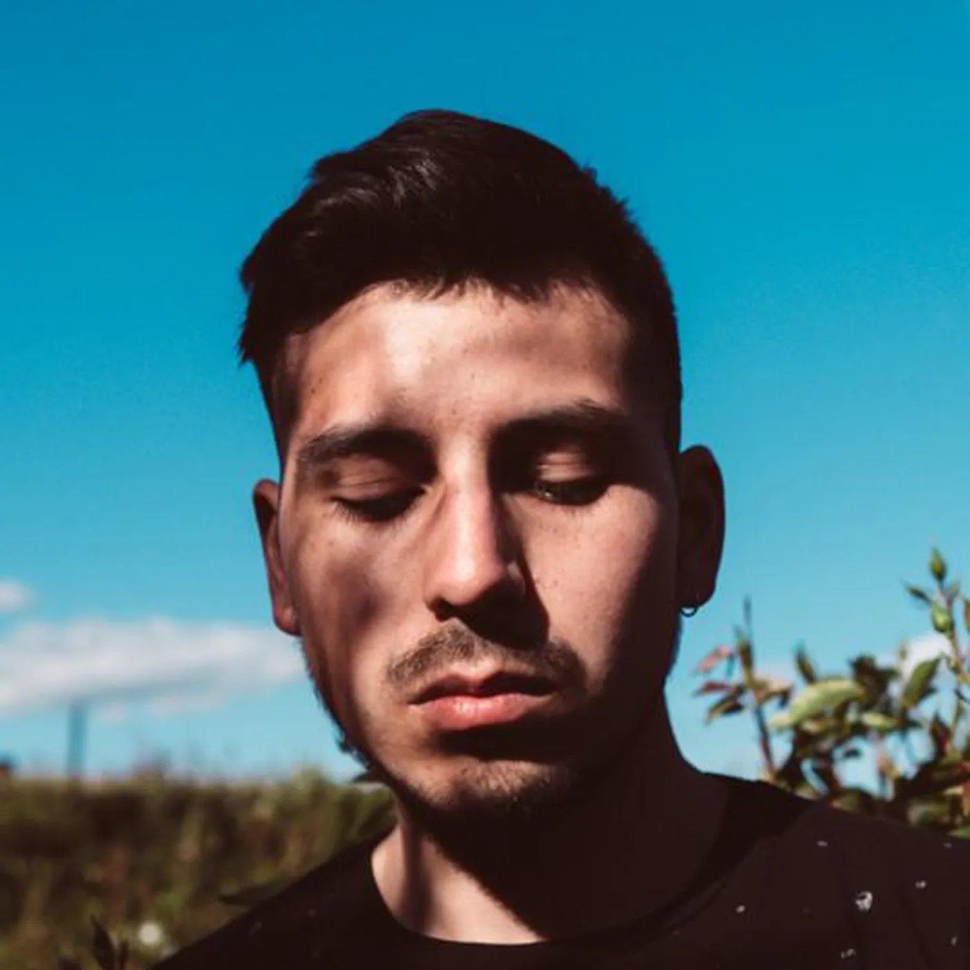 Alvro Hebi