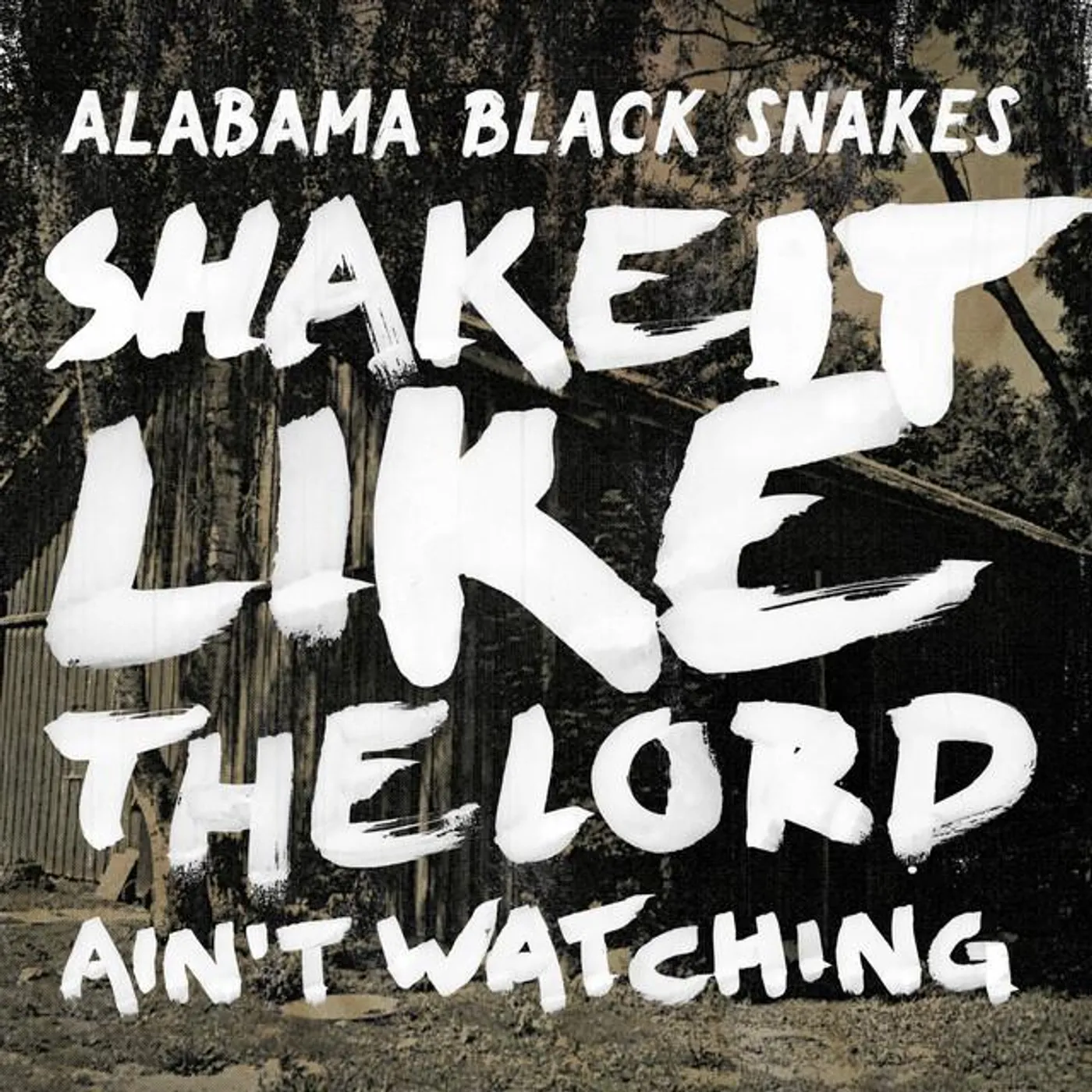 Alabama Black Snakes