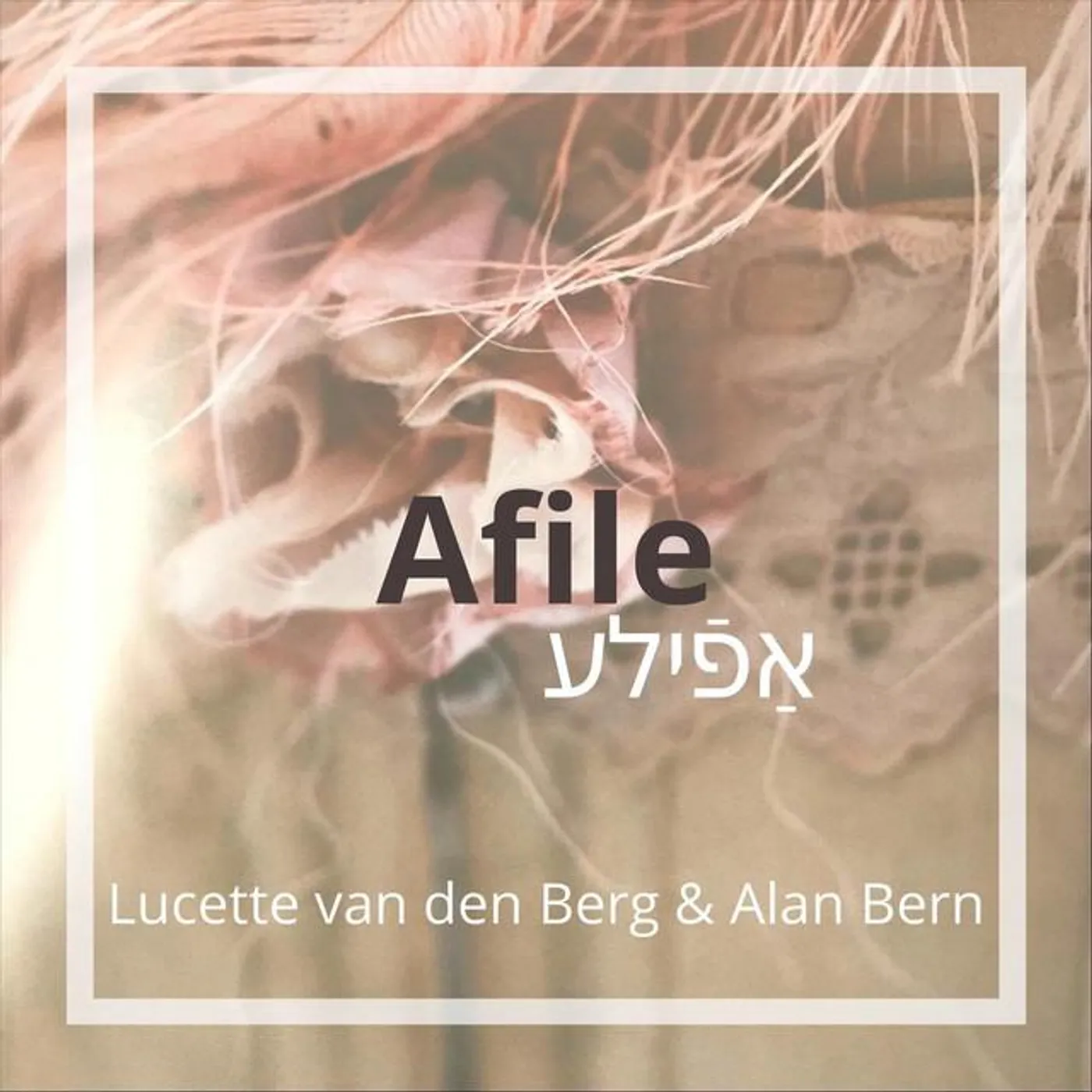 Alan Bern