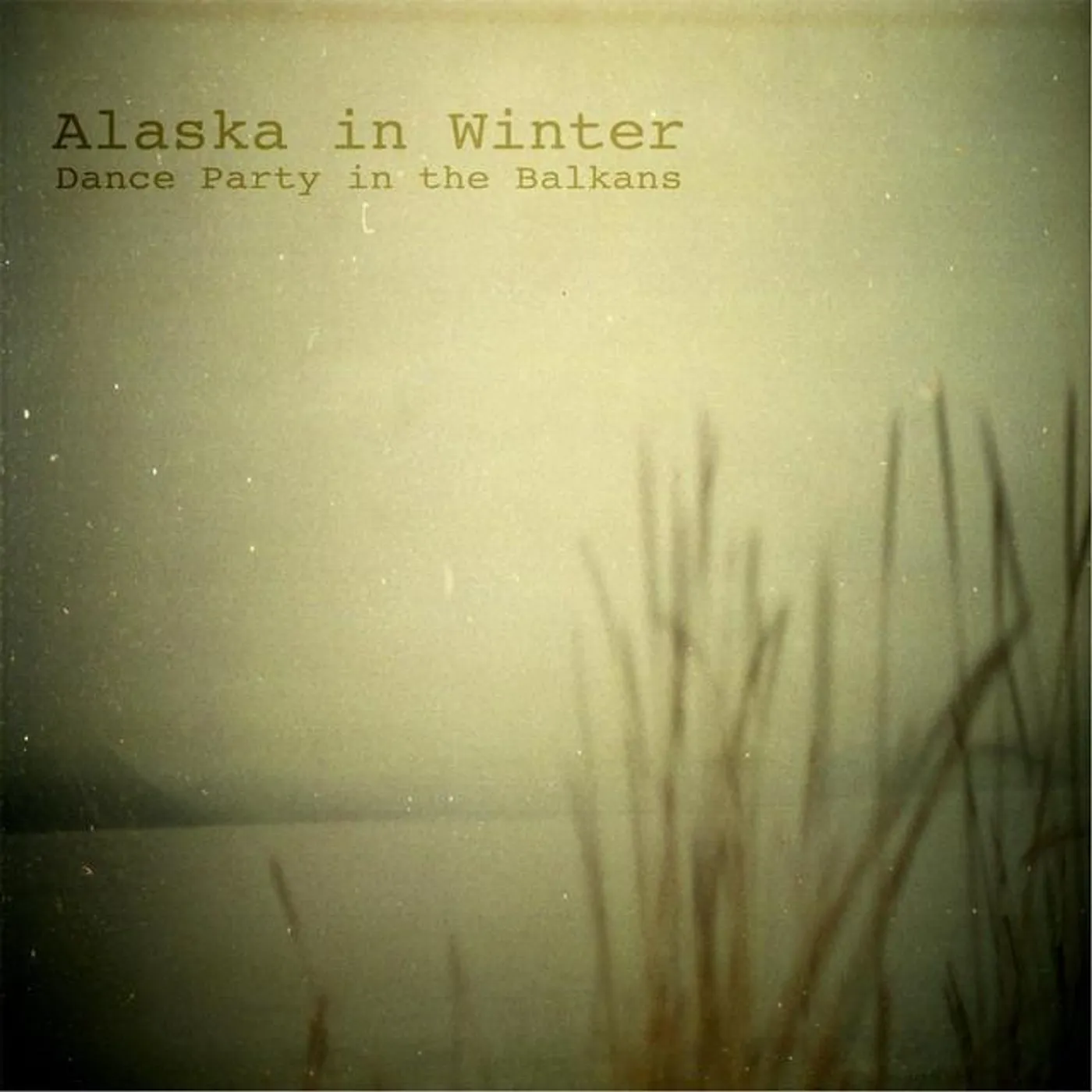 Alaska In Winter