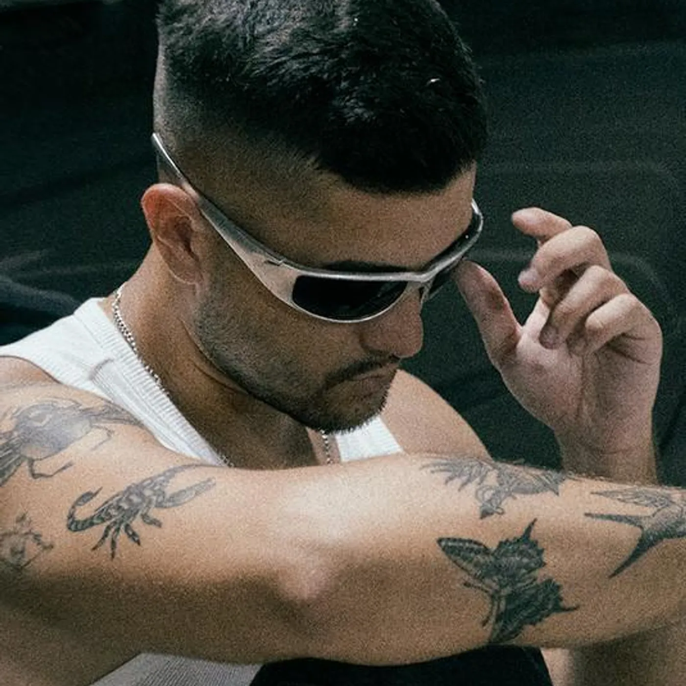 Alberto Rose Brand Page