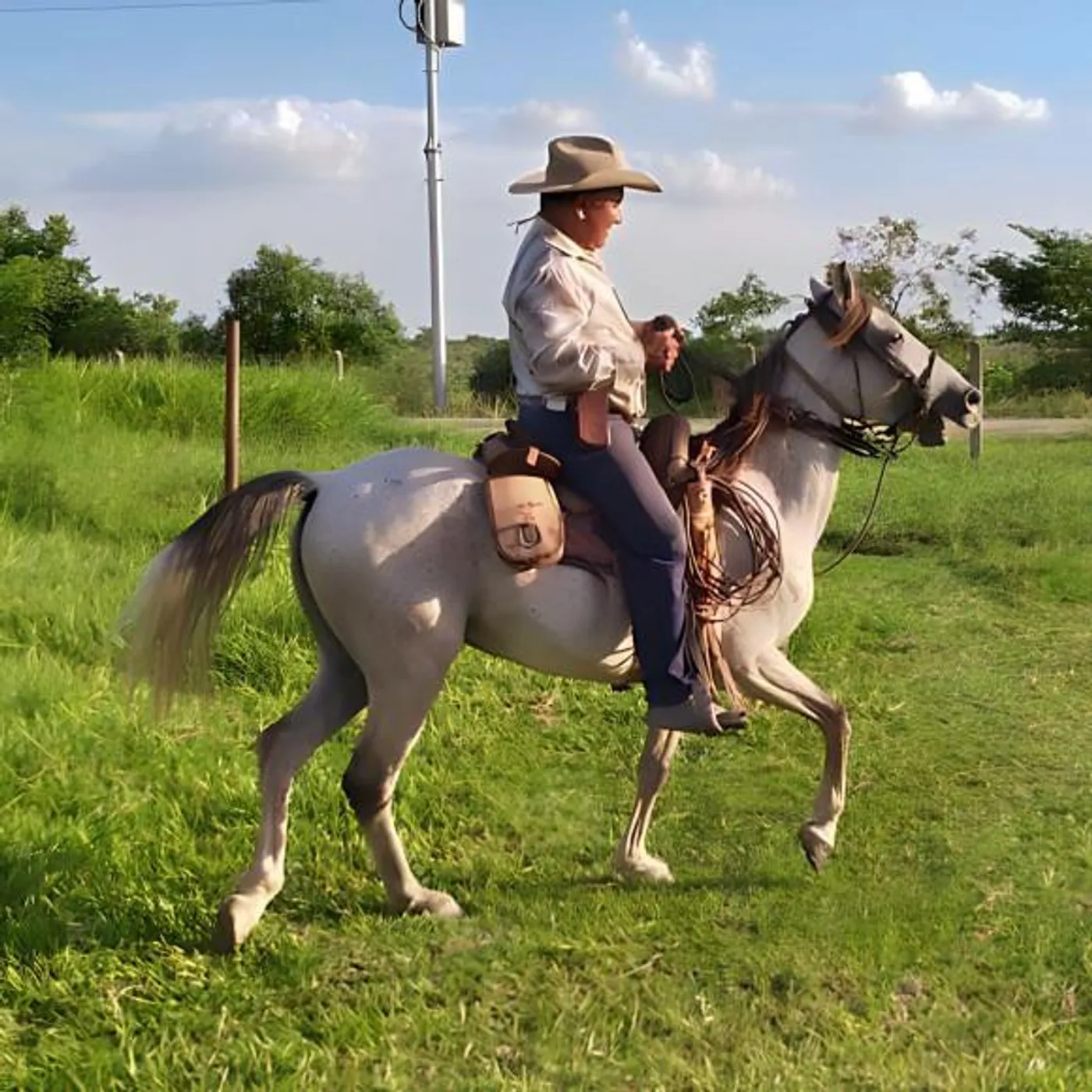 Aldrumas Monroy