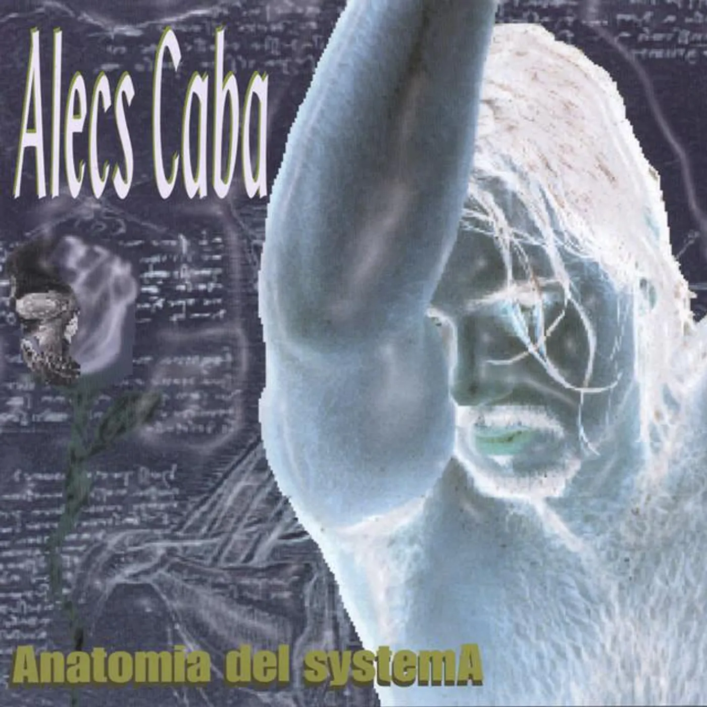 Alecs Caba Brand Page