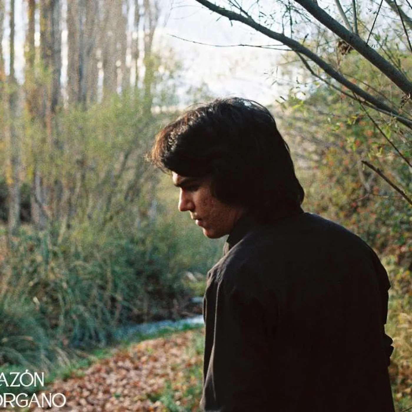 Alejandro Santoyo