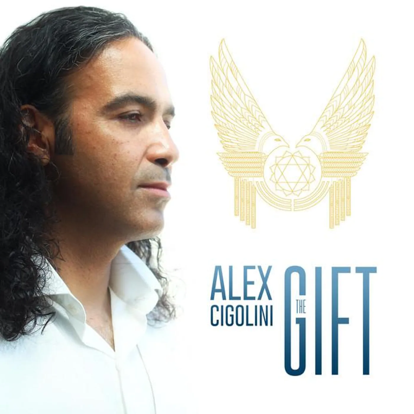 Alex Cigolini Brand Page