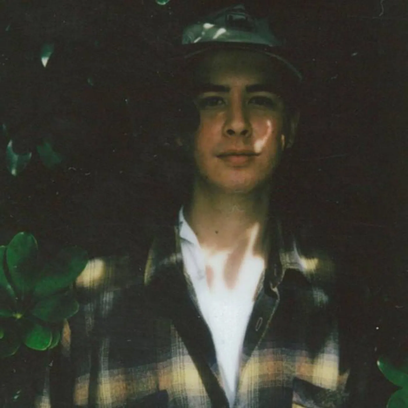 Alex Stevens
