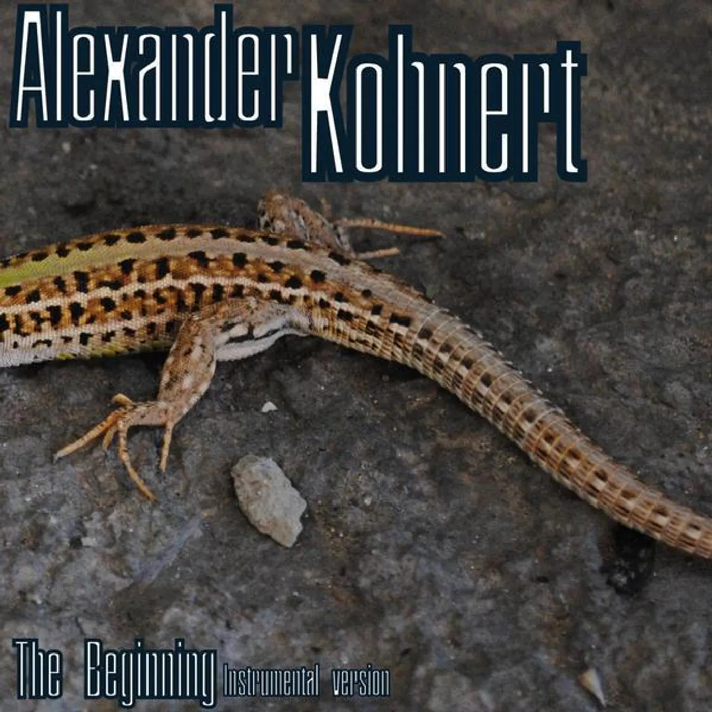 Alexander Kohnert
