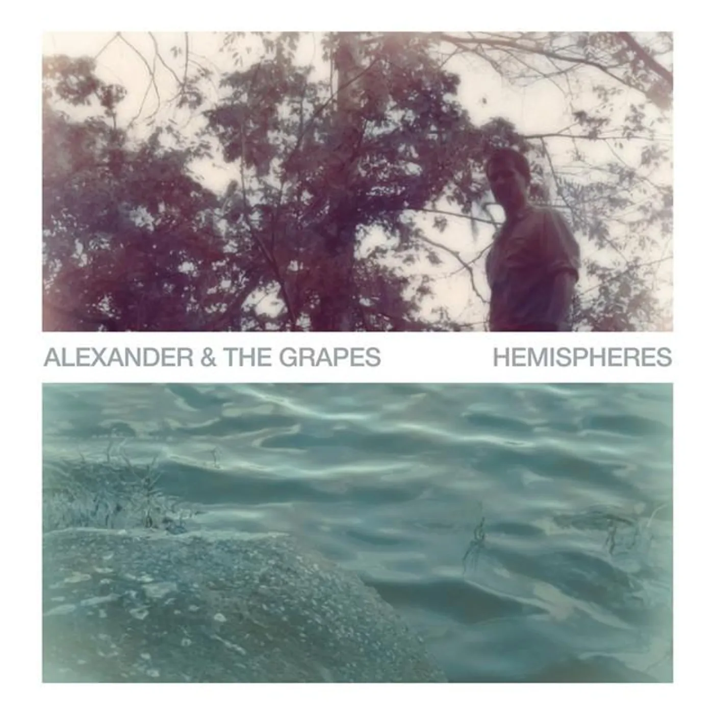 Alexander & The Grapes Brand Page