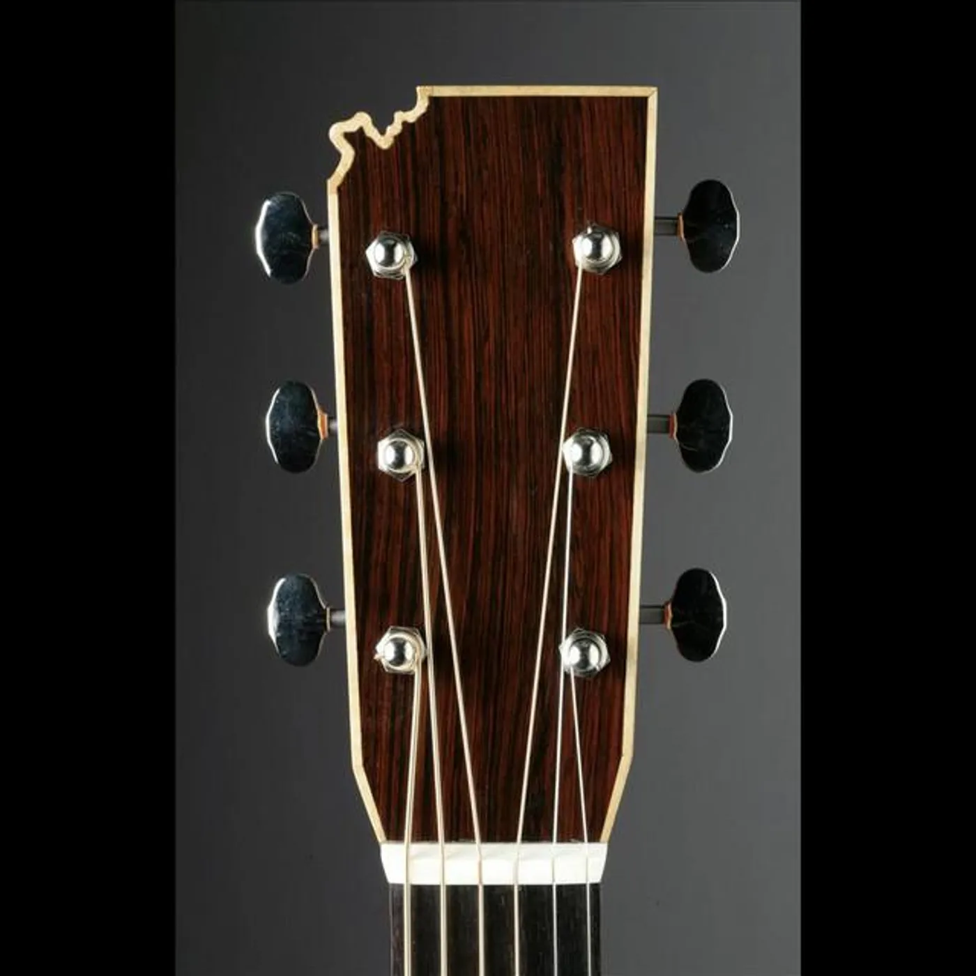 Alferd Packer Memorial String Band Brand Page