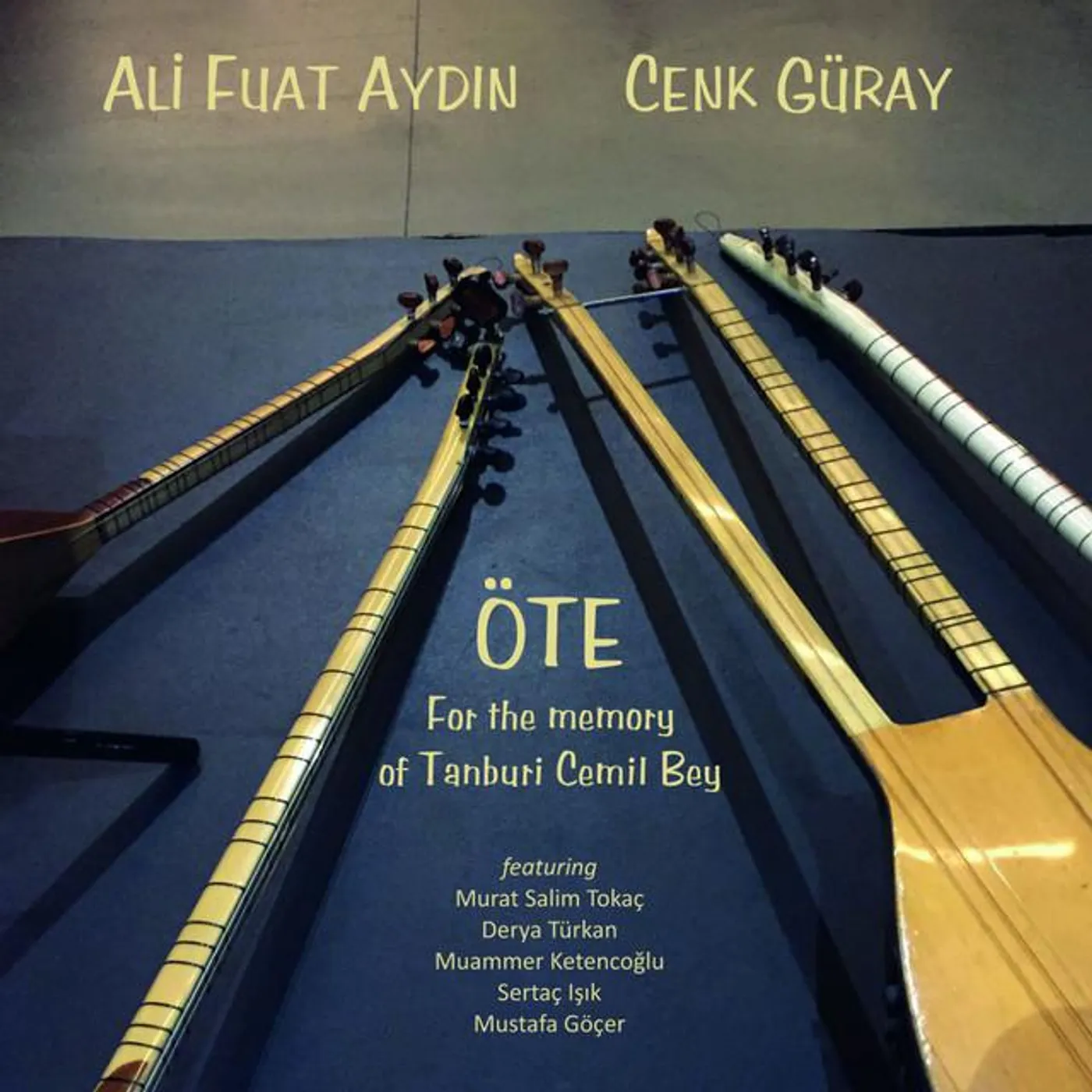 Ali Fuat Aydin