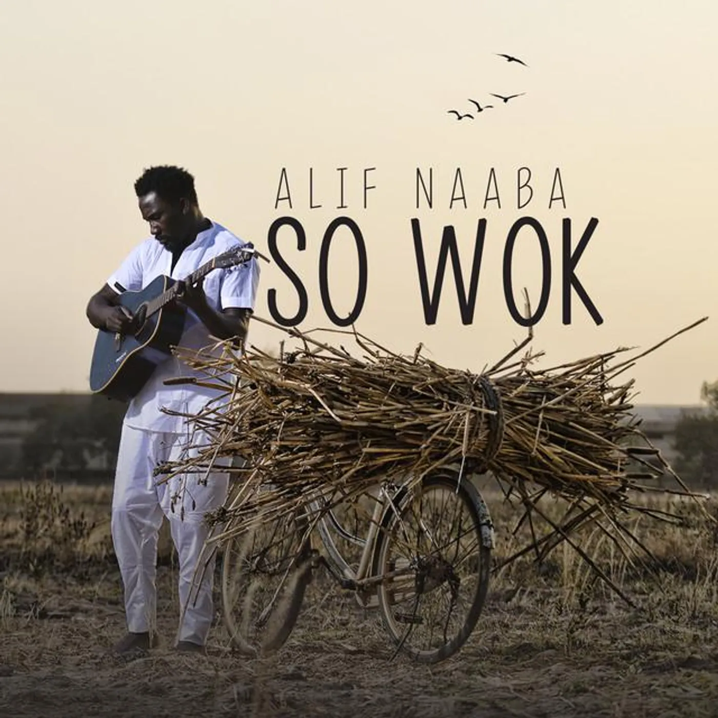 Alif Naaba