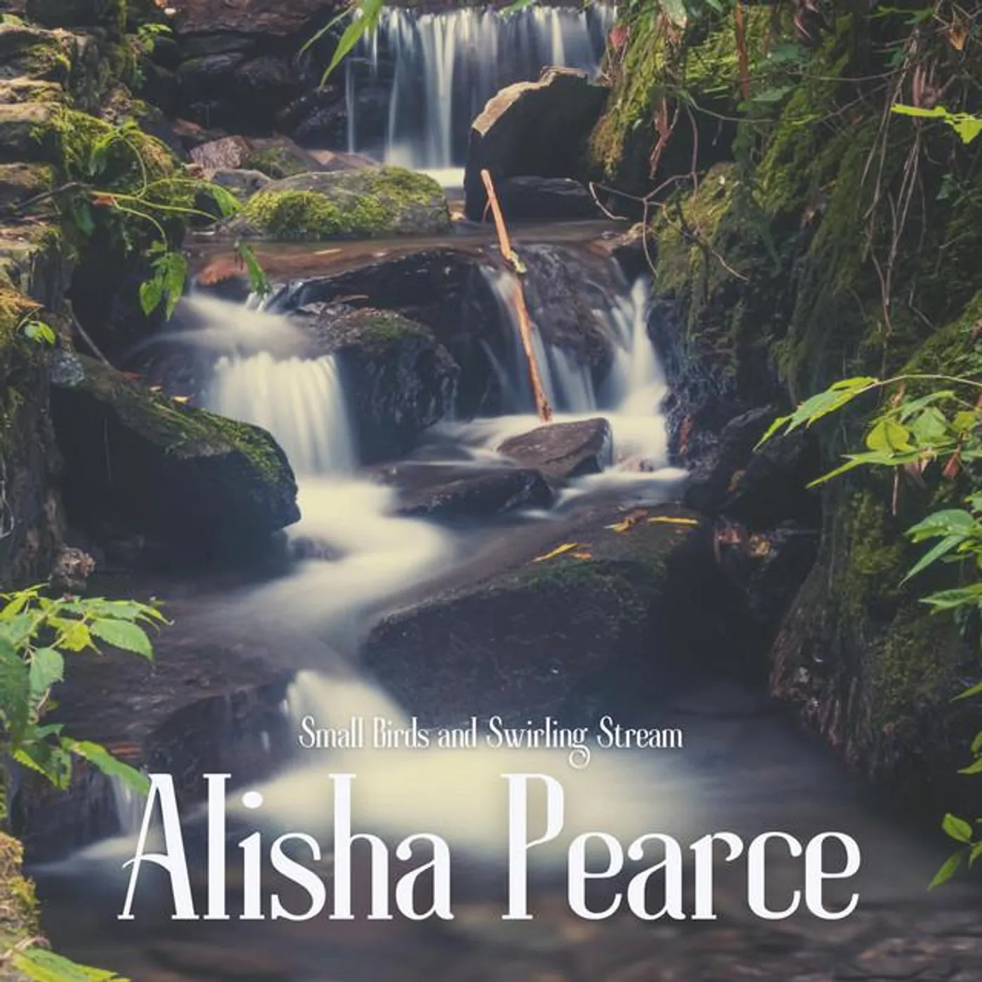 Alisha Pearce