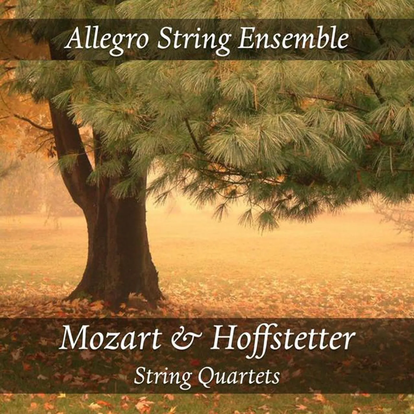 Allegro String Ensemble Brand Page