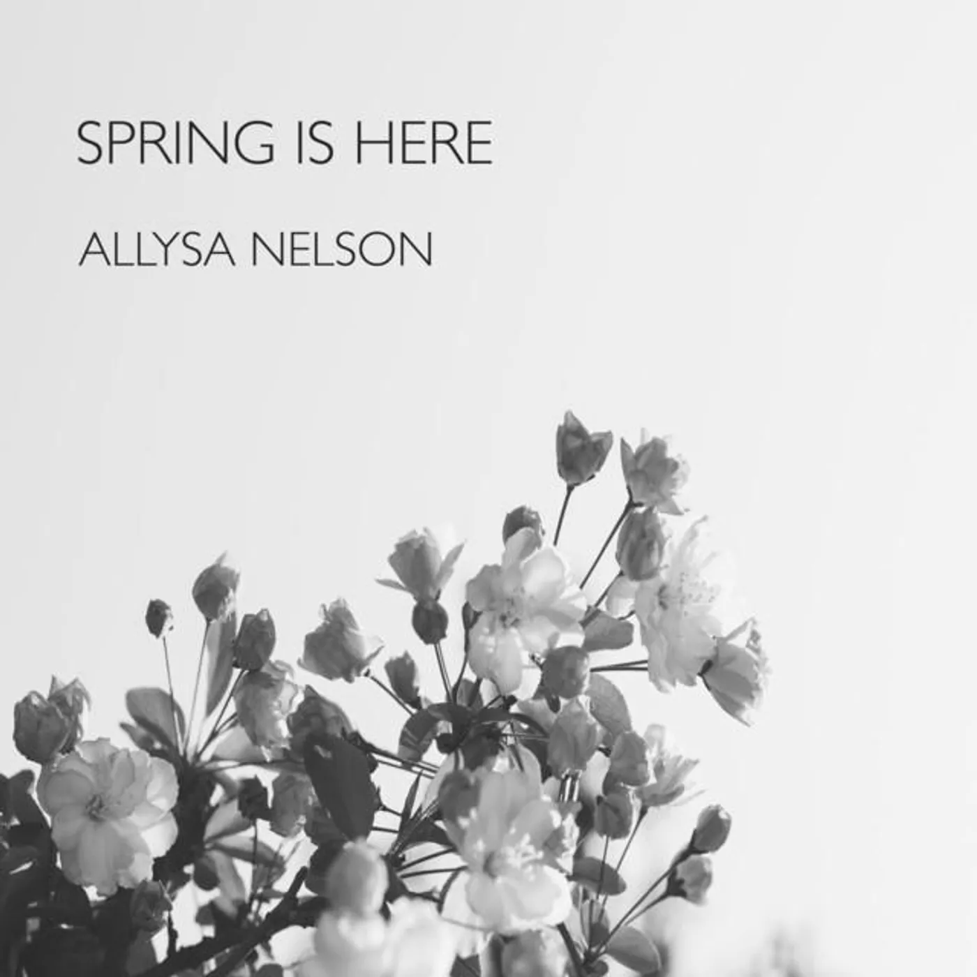 Allysa Nelson