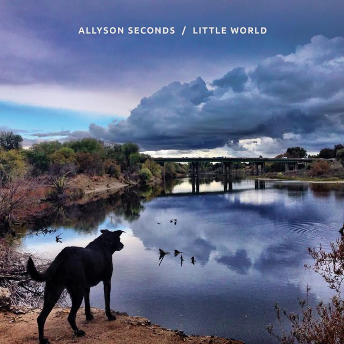 Allyson Seconds Brand Page