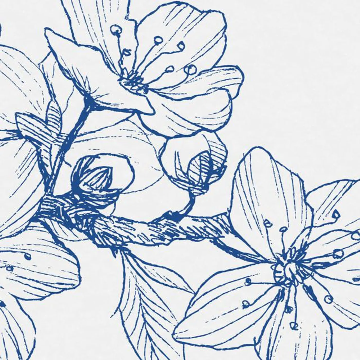 Alma Klein Brand Page