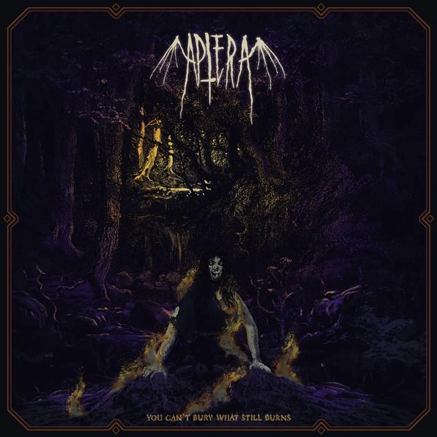 Aptera Brand Page
