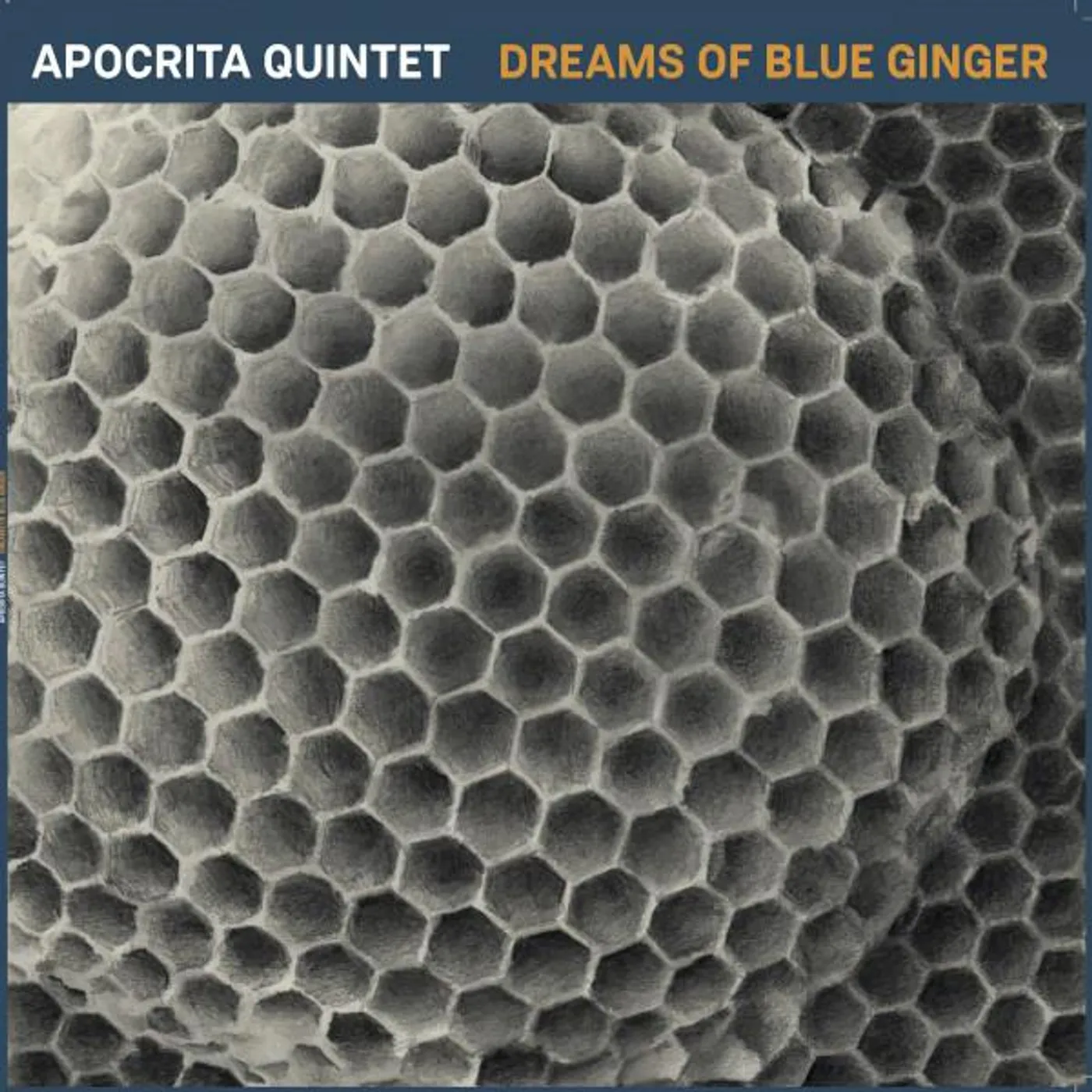 Apocrita Quintet Brand Page