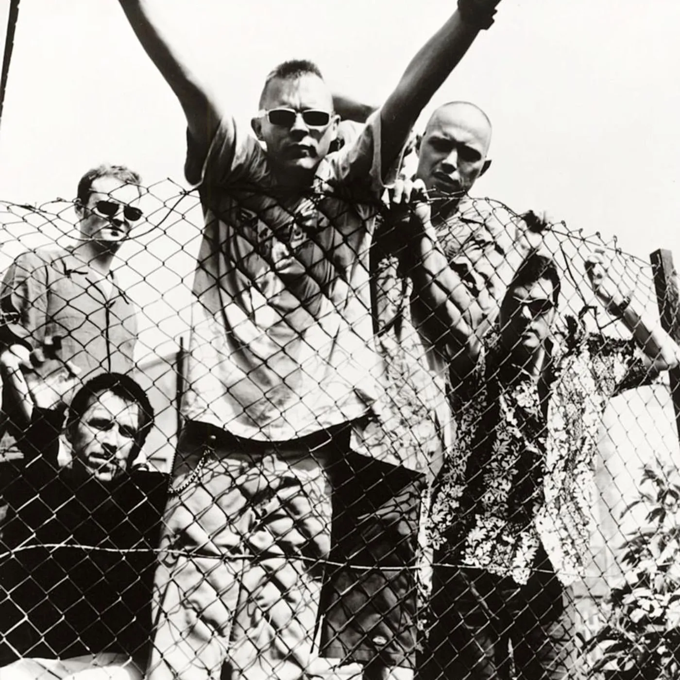 Apollo 440 Brand Page