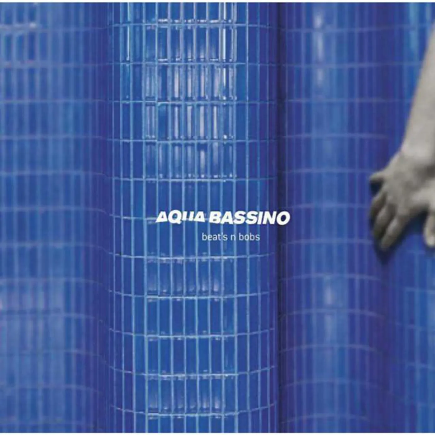 Aqua Bassino Brand Page