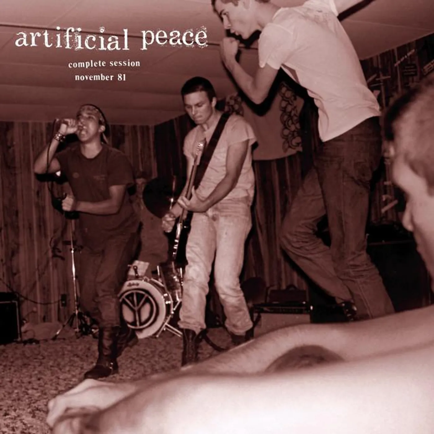 Artificial Peace Brand Page
