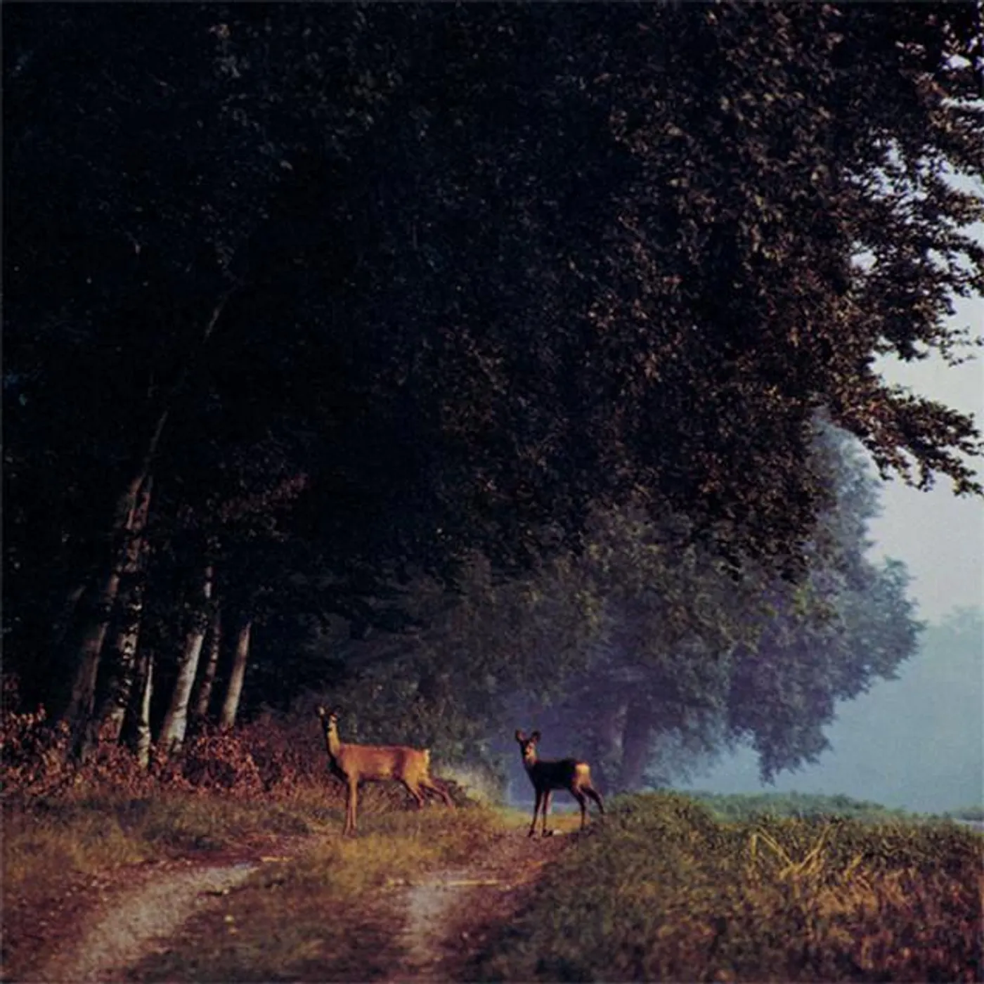 Arv & Miljö