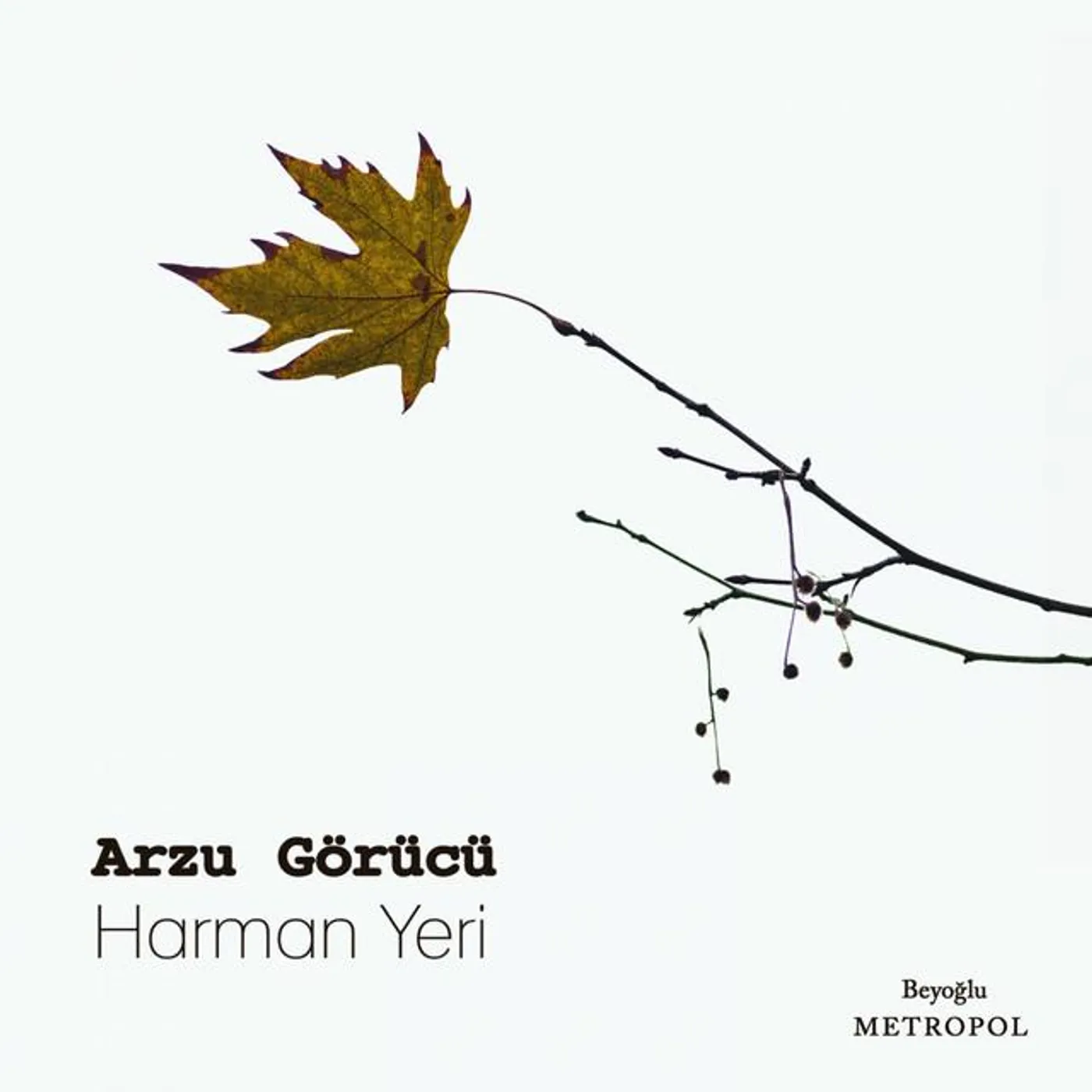 Arzu Görücü Brand Page