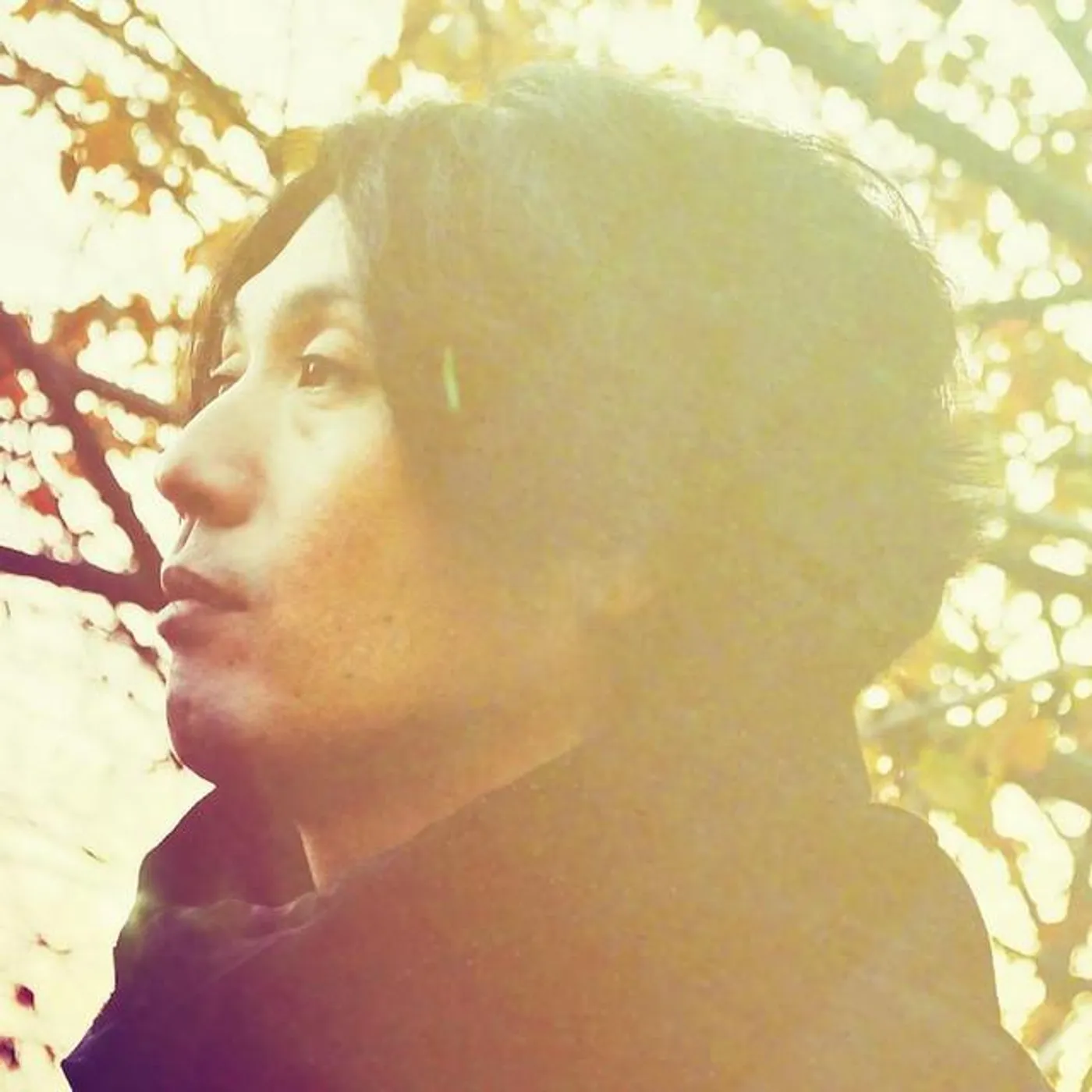 Arc Of Doves Brand Page