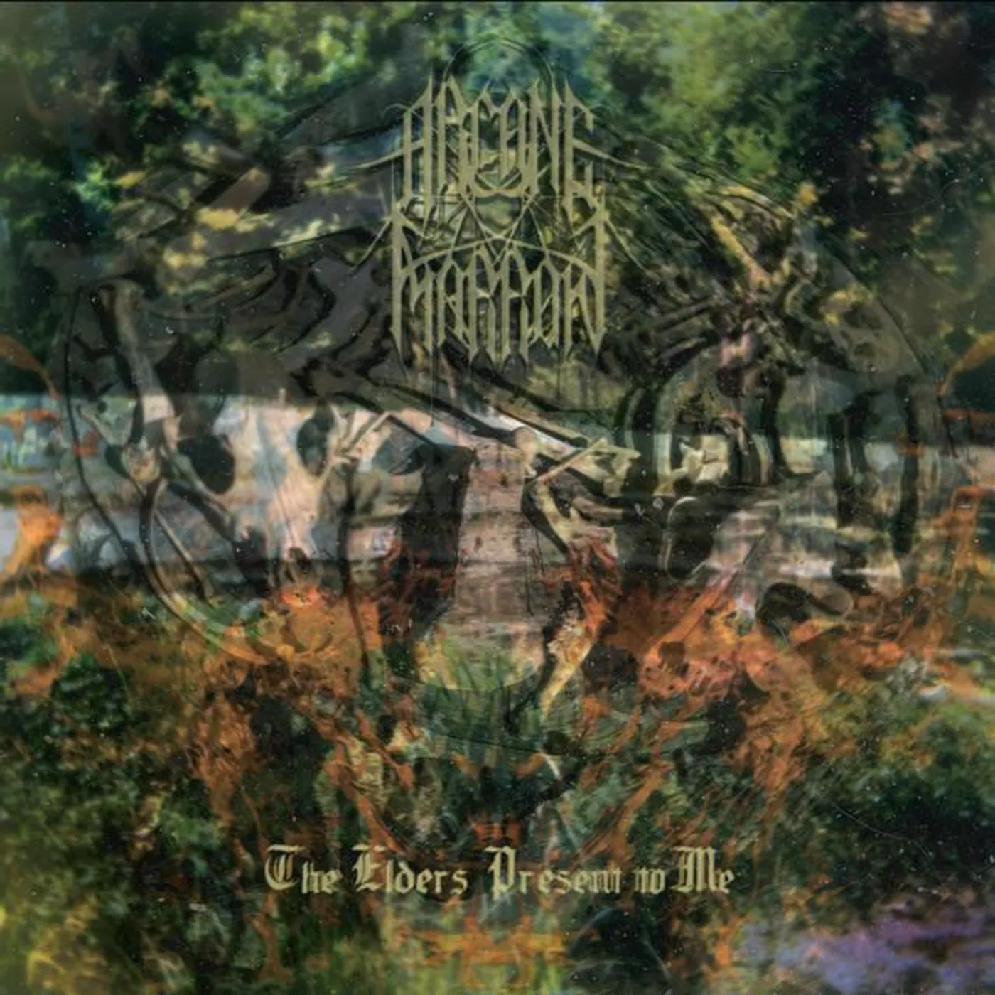 Arcane Marrow