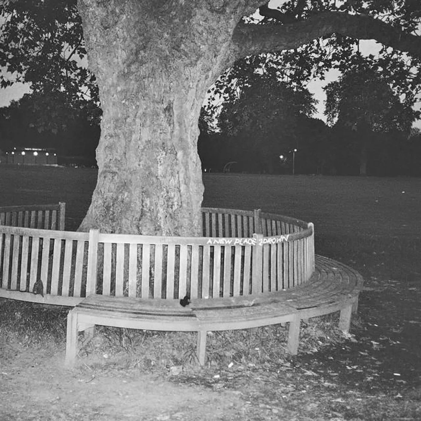 Archy Marshall Brand Page