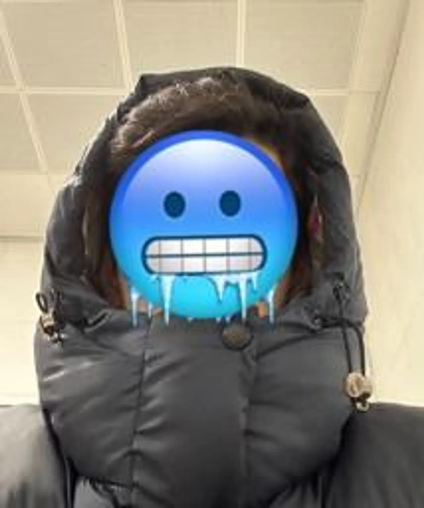 Arda VR.