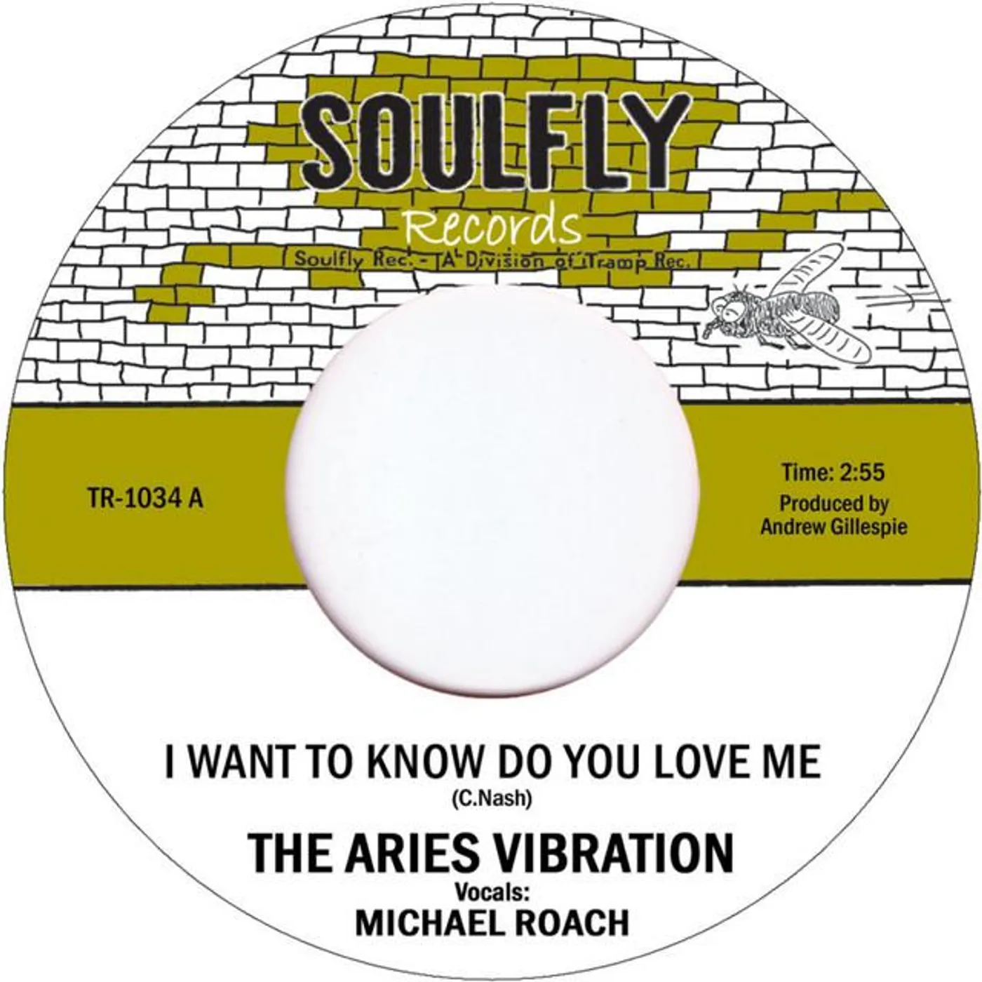 The Aries Vibration