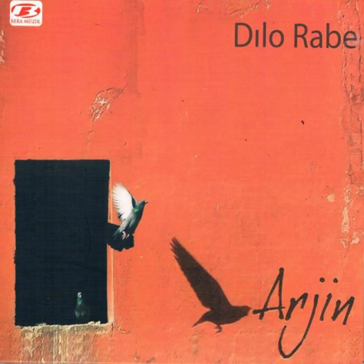 Arjin