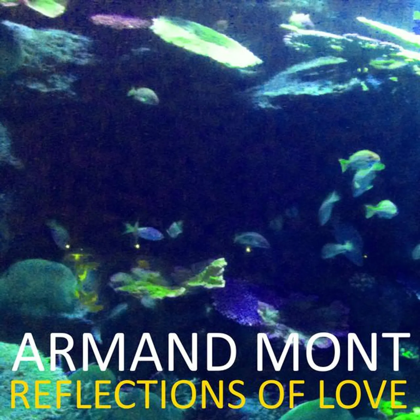 Armand Mont Brand Page