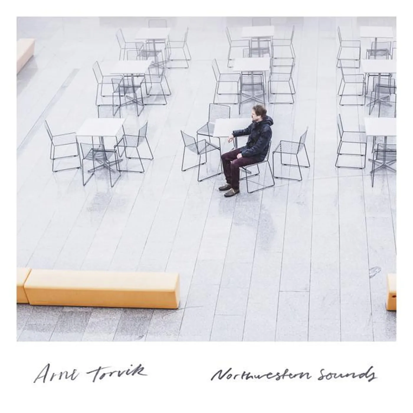 Arne Torvik